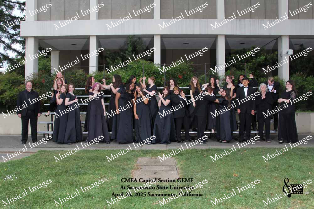 Musical Images